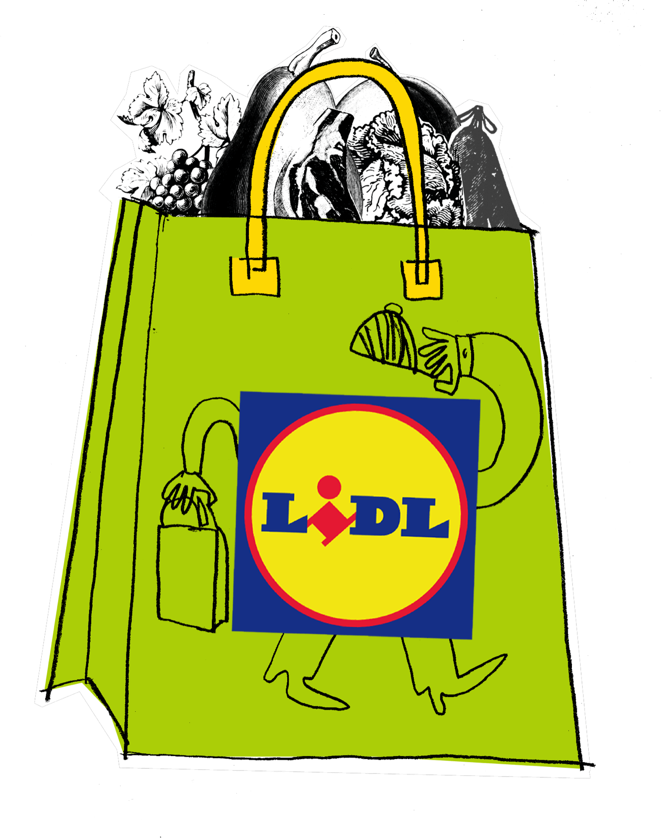 lidl illustration